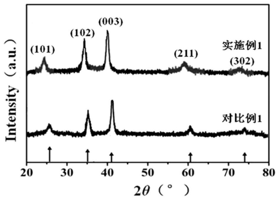 Claw type vacuum pump rotor surface treatment process