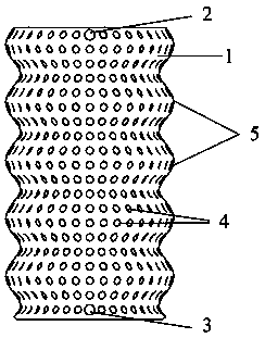 Preparation method of anatomical type three-dimensional printing corrugated pipe elastic body tracheal stent and product