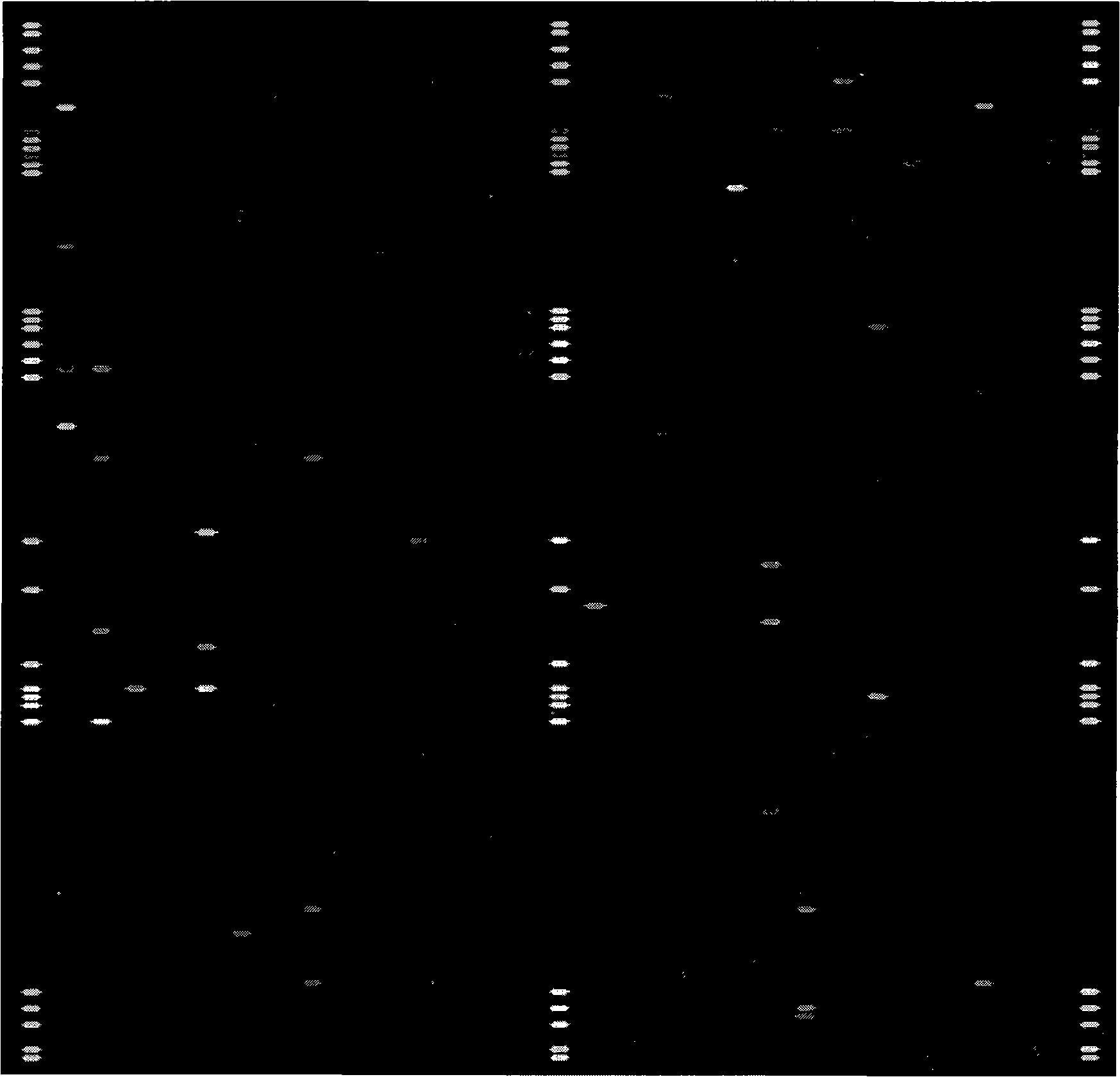 Low-expression piRNA probe for detecting gastric tissue and detection process thereof