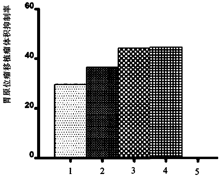 Clitocybe clavipes fungus extract as well as preparation method and application thereof