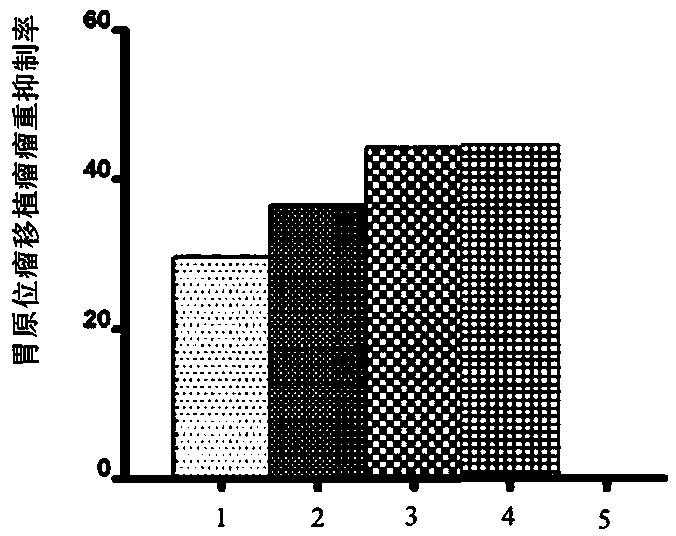 Clitocybe clavipes fungus extract as well as preparation method and application thereof