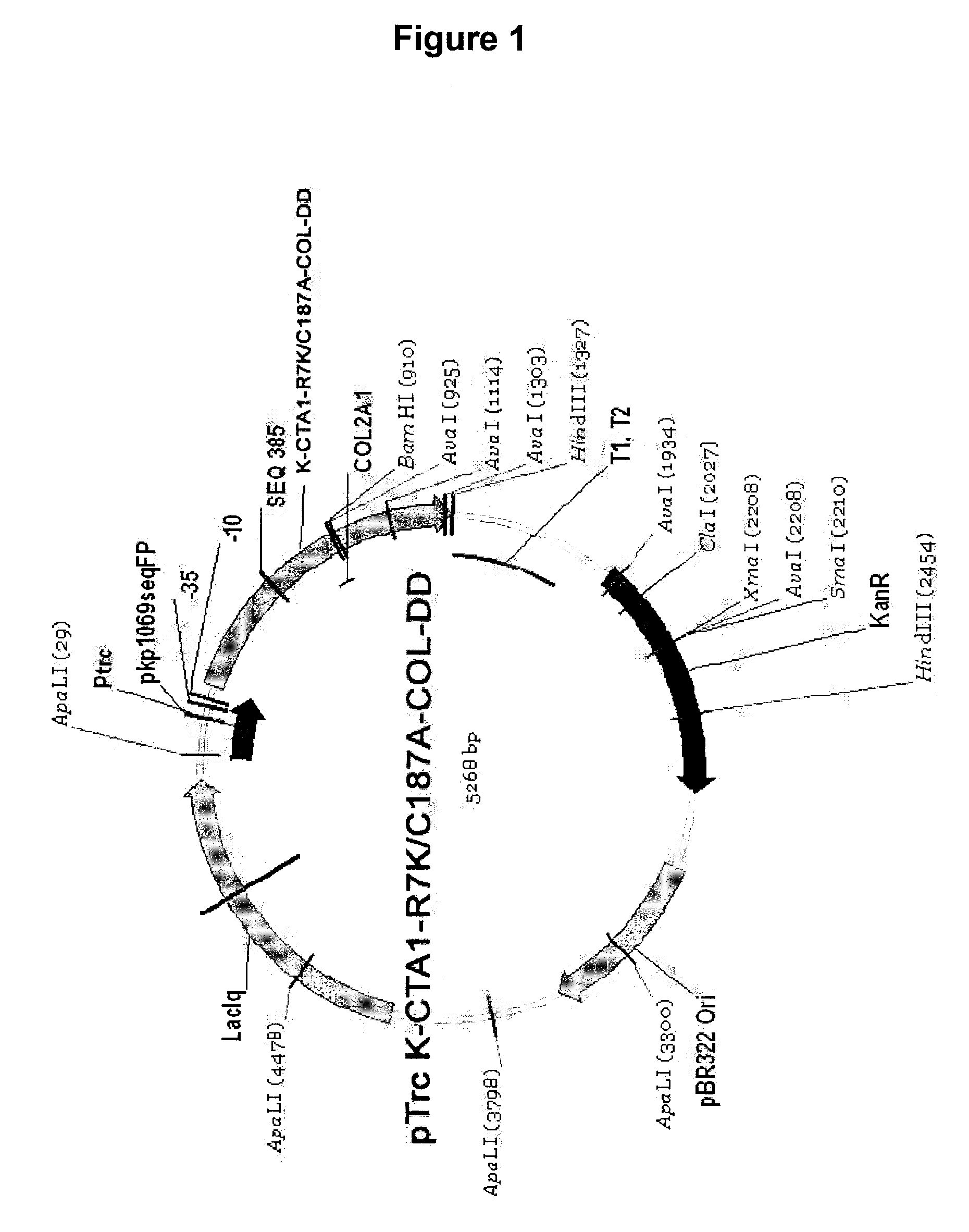 New composition and methods for treatment of autoimmune and allergic diseases