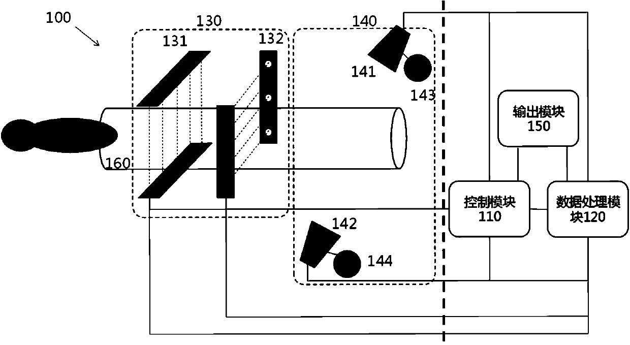 System and method for observing underwater organisms