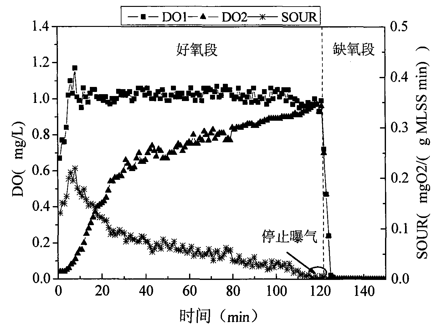 Device for detecting dynamic specific oxygen utilization rate of activated sludge system