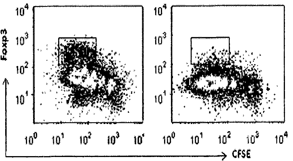 In vitro amplification method for regulatory T cells