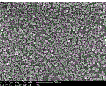 Preparation method of cationic styrene-acrylic microemulsion