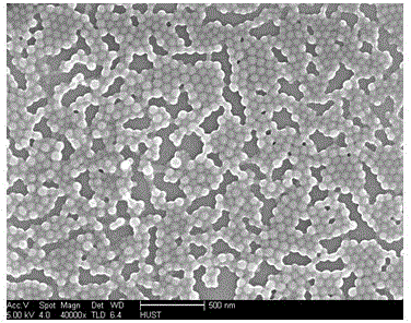 Preparation method of cationic styrene-acrylic microemulsion