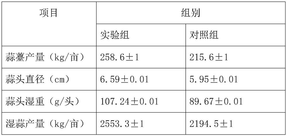 A kind of garlic composite bacterial agent containing multiple microorganisms and preparation method thereof