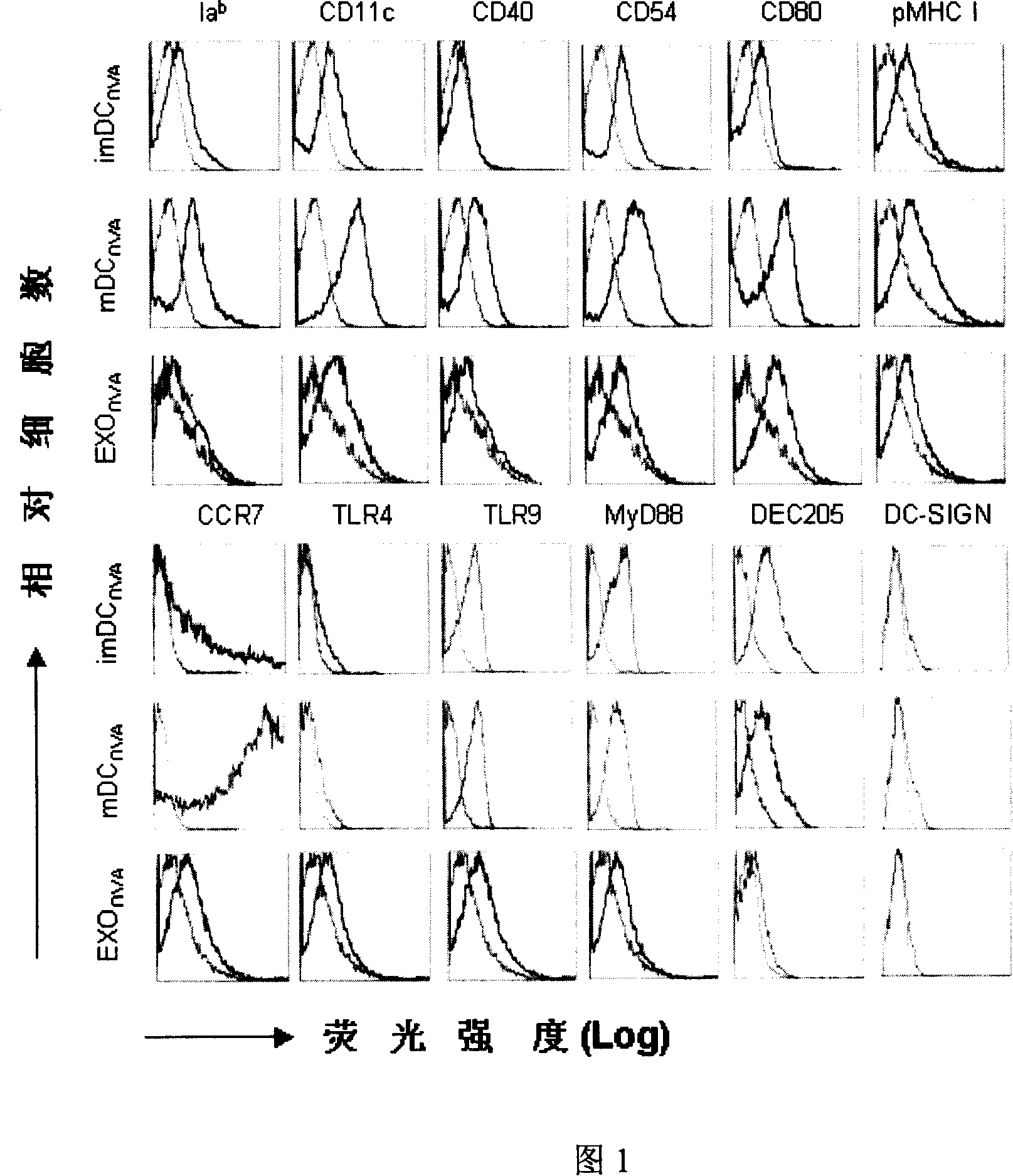 Vesicle guiding immunocyte and application of the same in preparing antineoplastic medicine