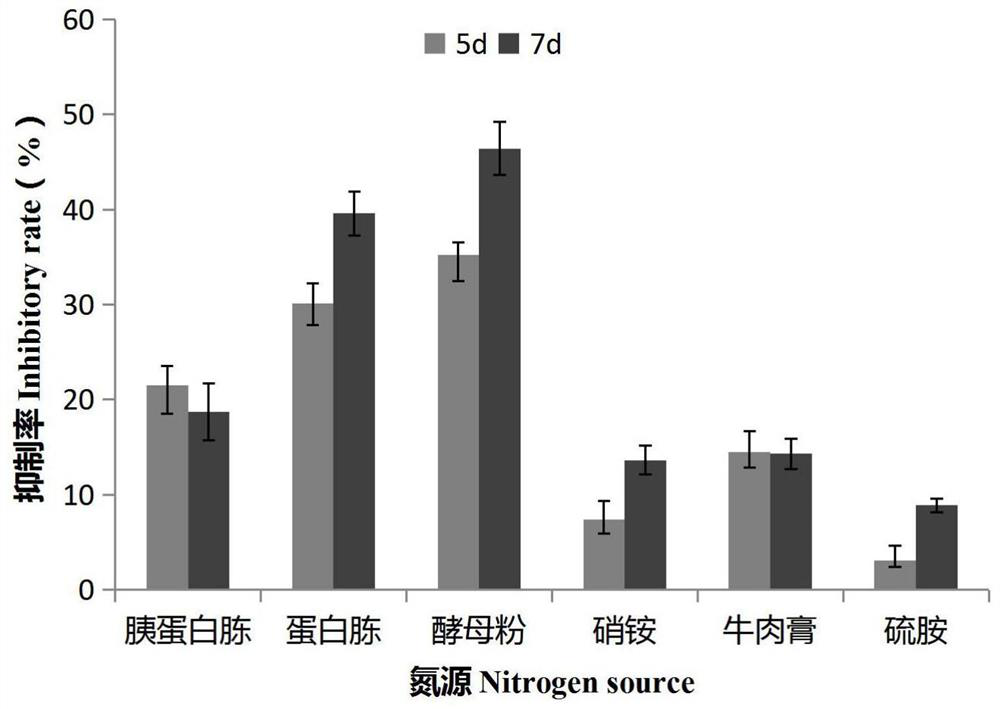 A kind of Bacillus atrophicus e20303 and its application