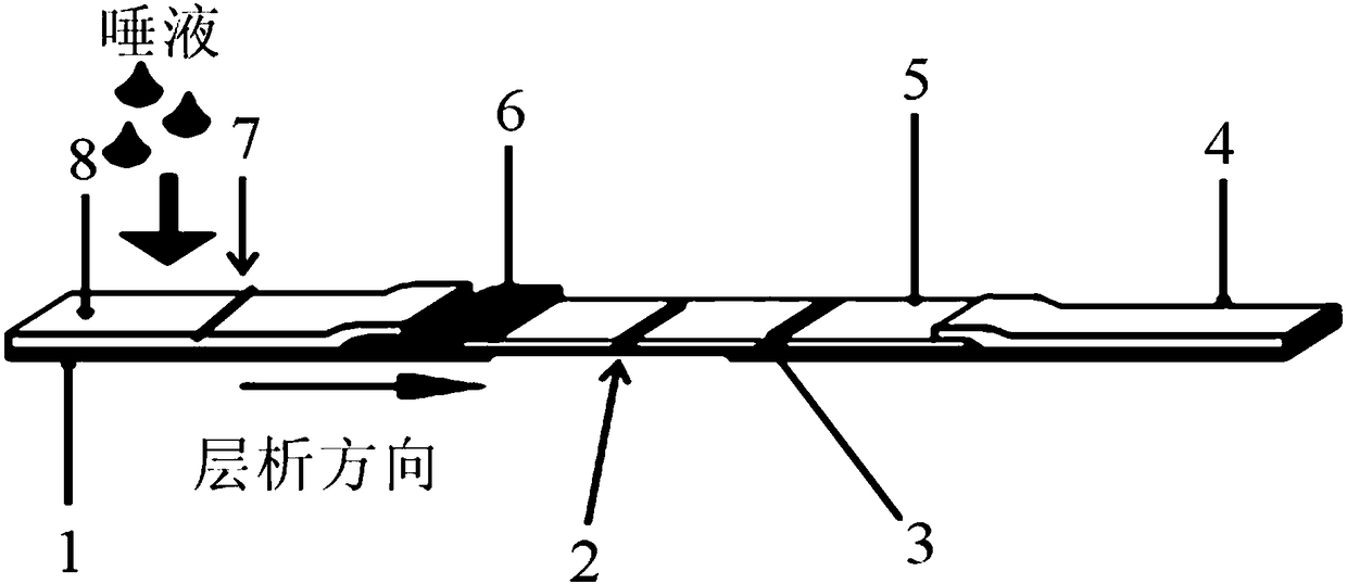 Method and test strip for rapid detection of avian influenza and human influenza susceptible population