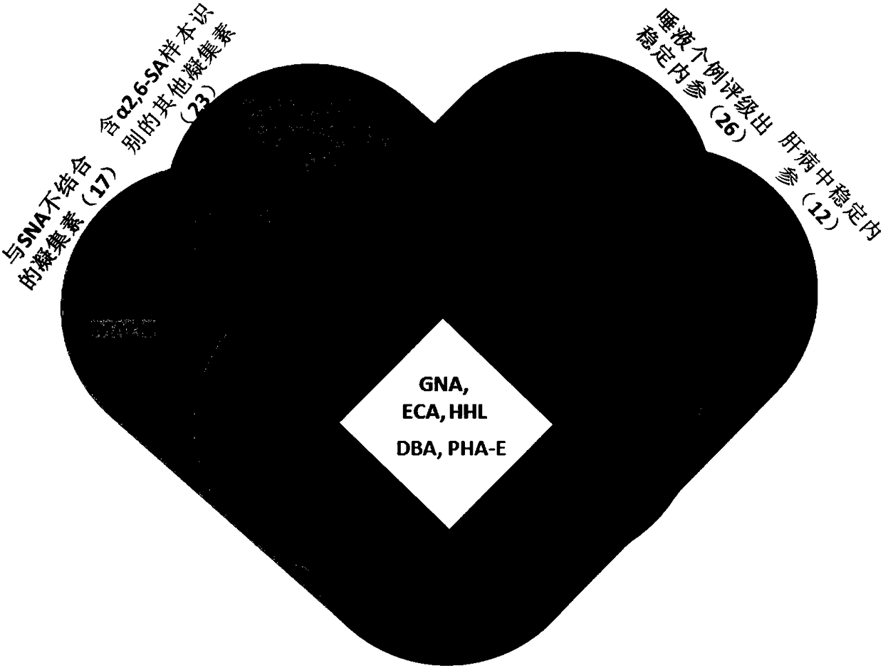 Method and test strip for rapid detection of avian influenza and human influenza susceptible population