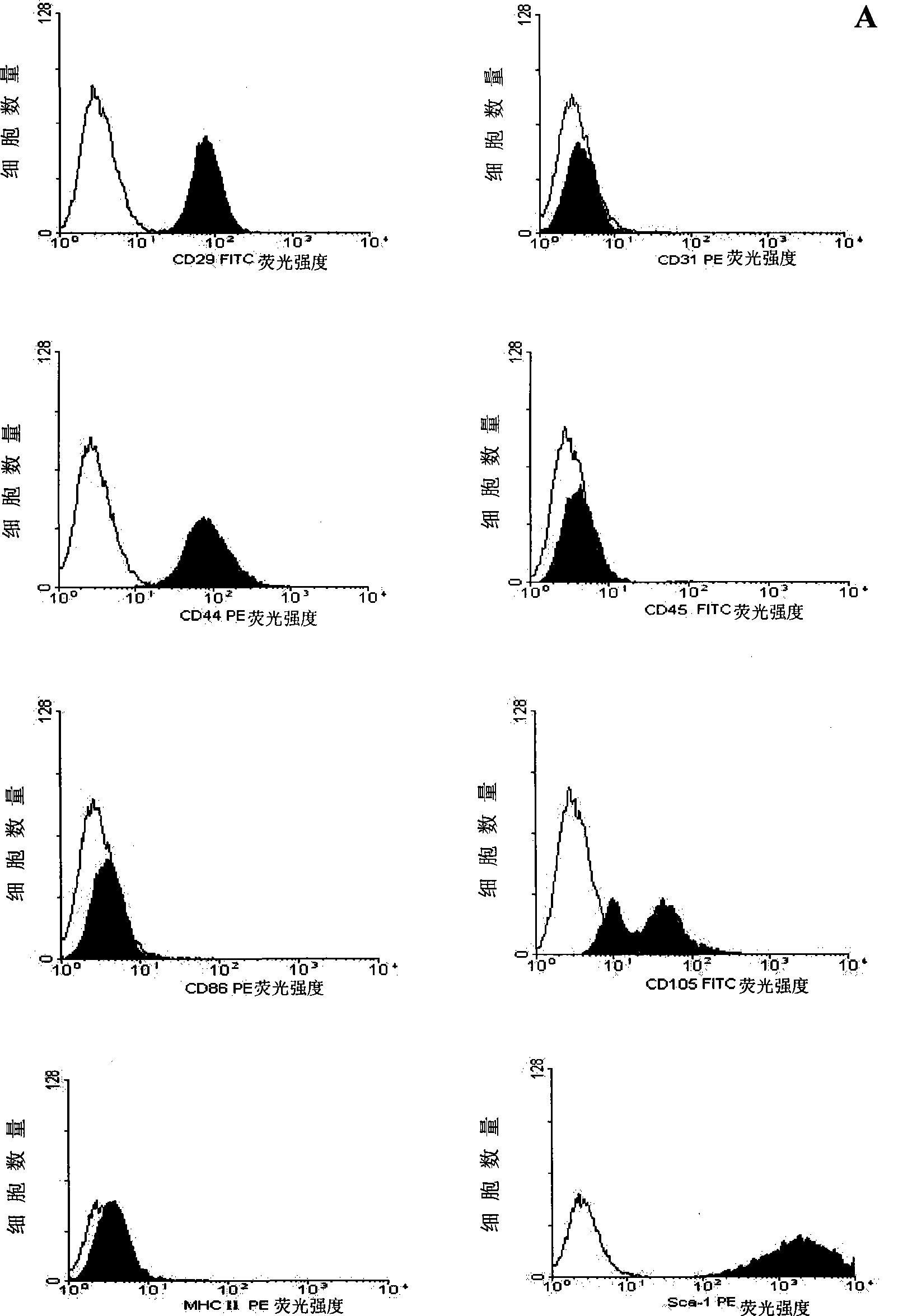 Mesenchyma stem cell for inhibiting osteoclast generation, as well as preparation method and application thereof