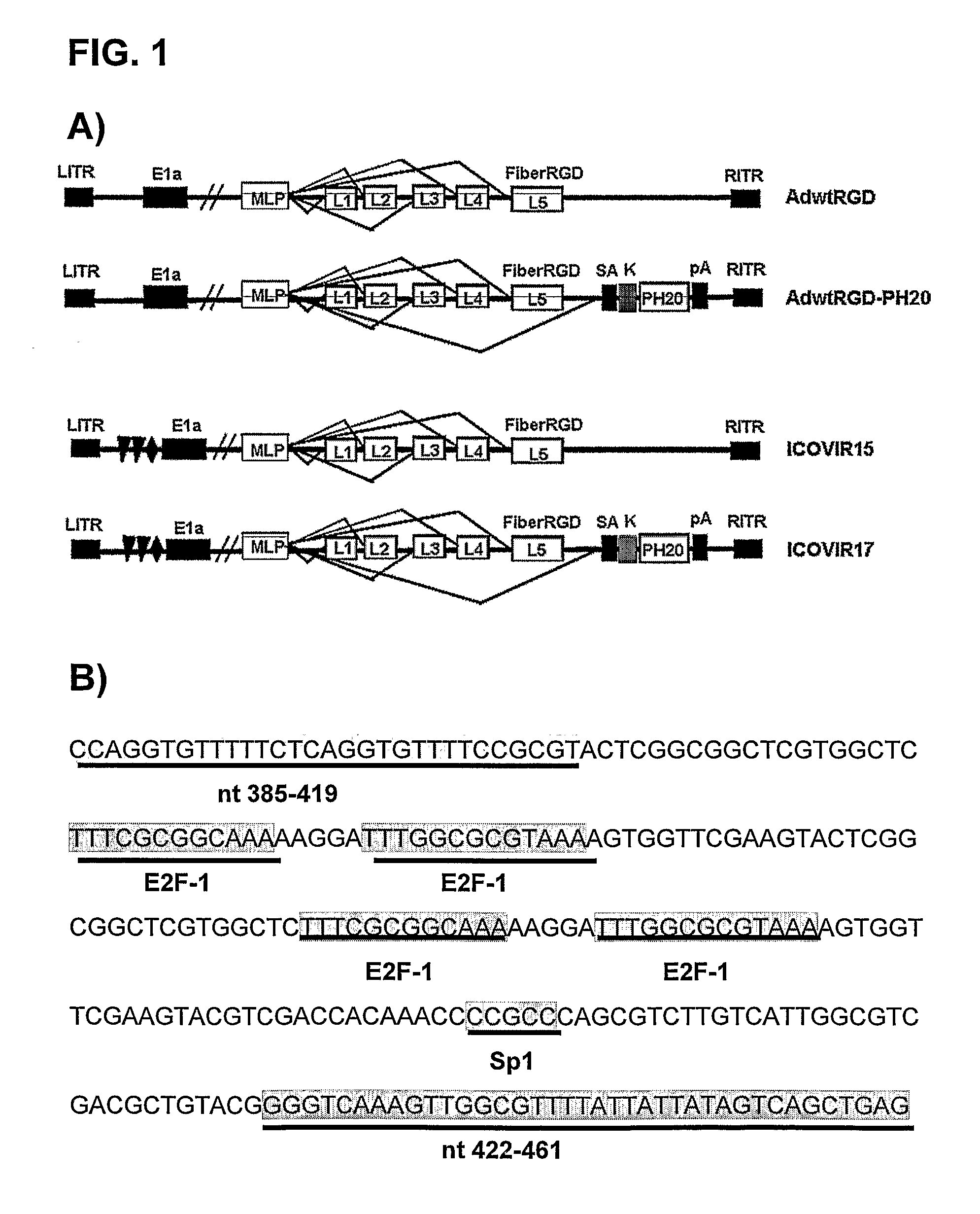 Oncolytic adenoviruses for treating cancer