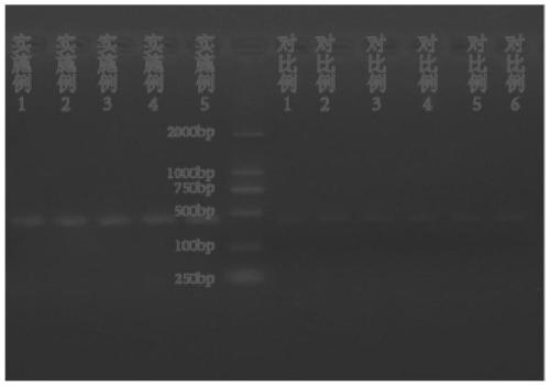 Saliva preserving fluid and preparation method and application thereof