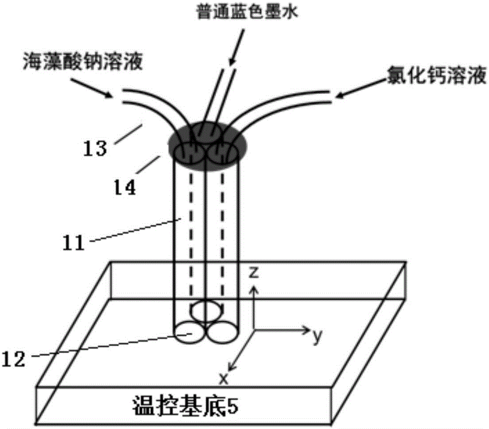 Multicomponent three-dimensional organism printing device and method based on multi-channel nozzle