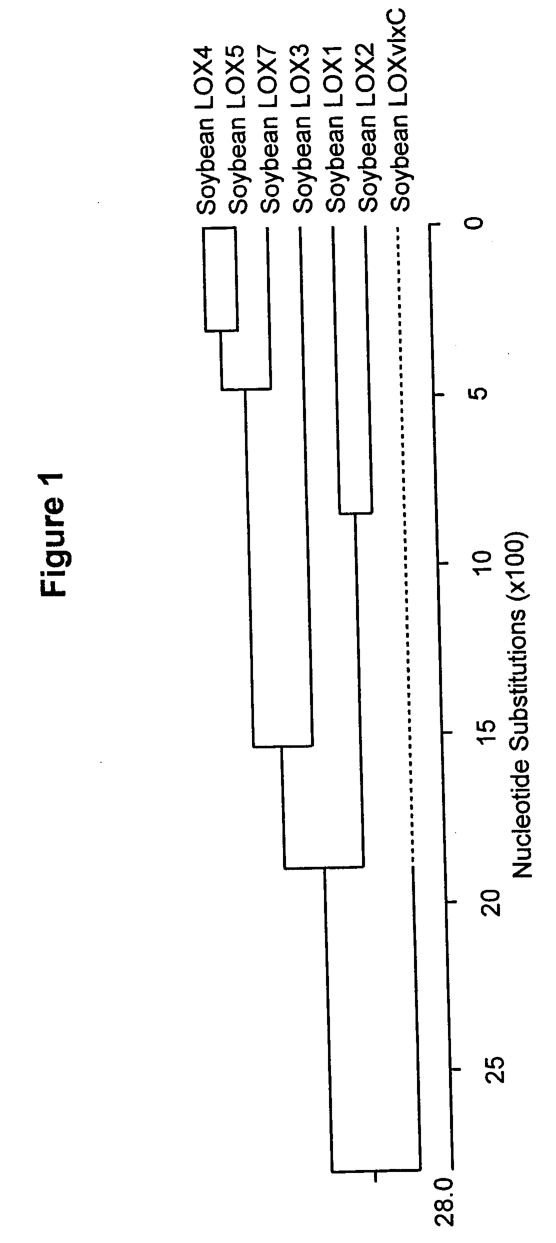 Transgenic soybean seeds having reduced activity of lipoxygenases