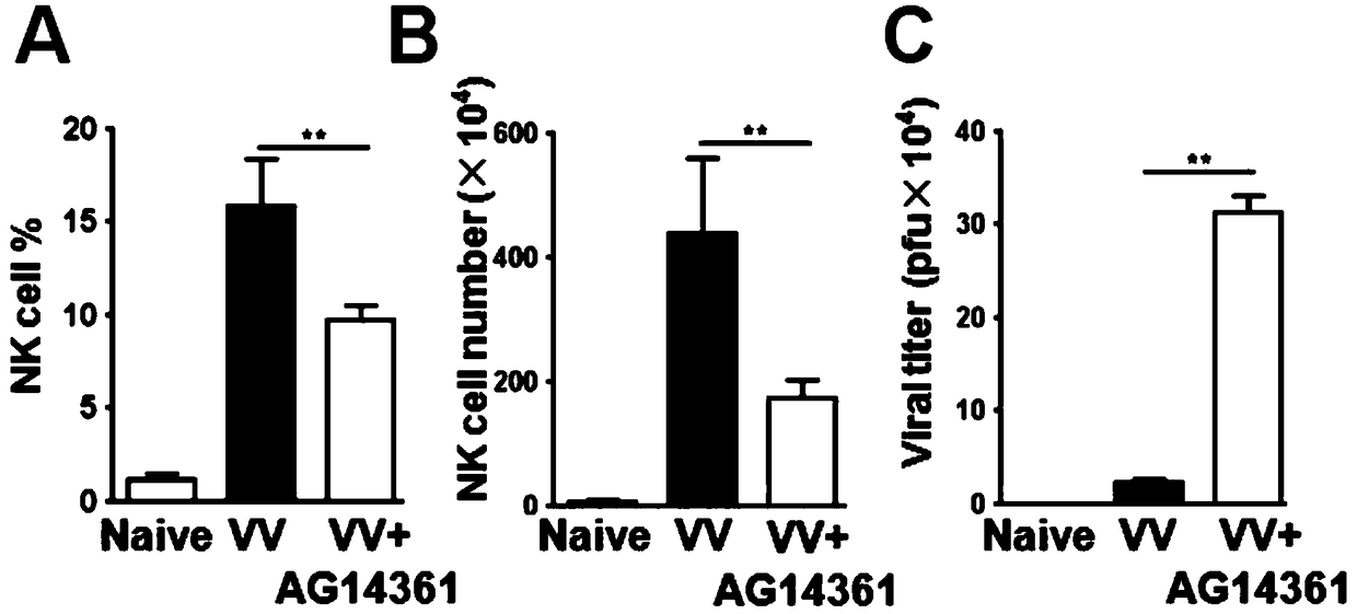 Application of PARP1 inhibitor to preparation of preparation for tumor immunotherapy