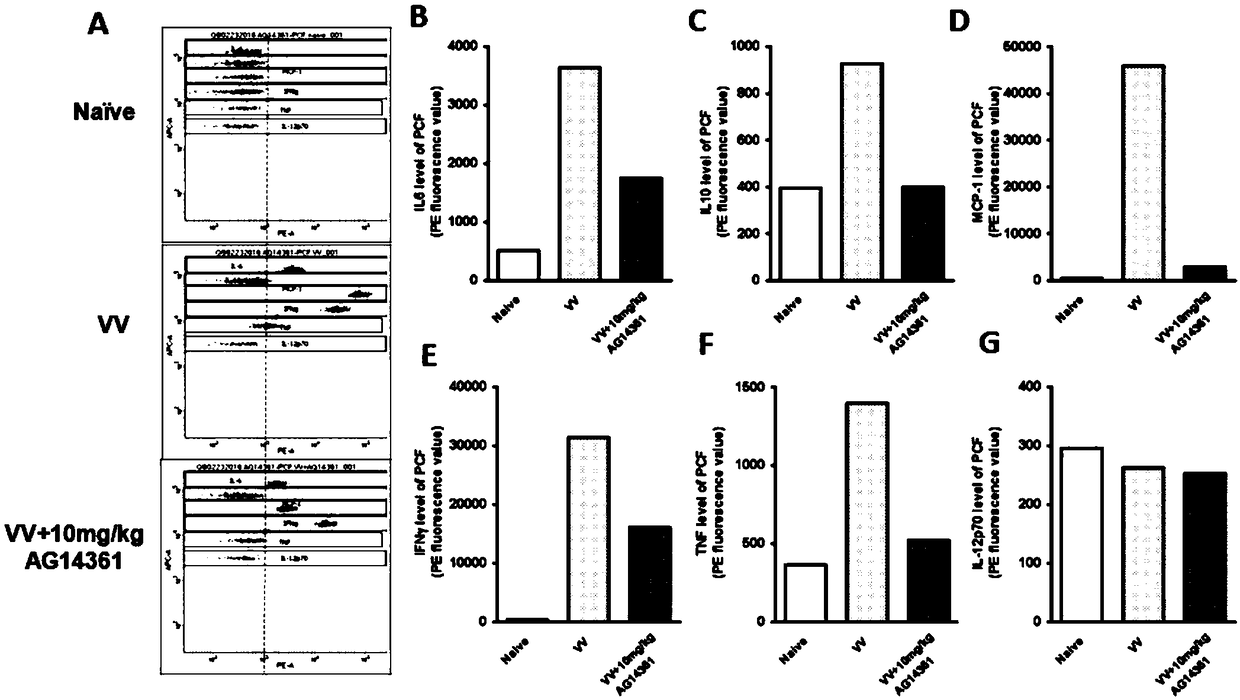 Application of PARP1 inhibitor to preparation of preparation for tumor immunotherapy