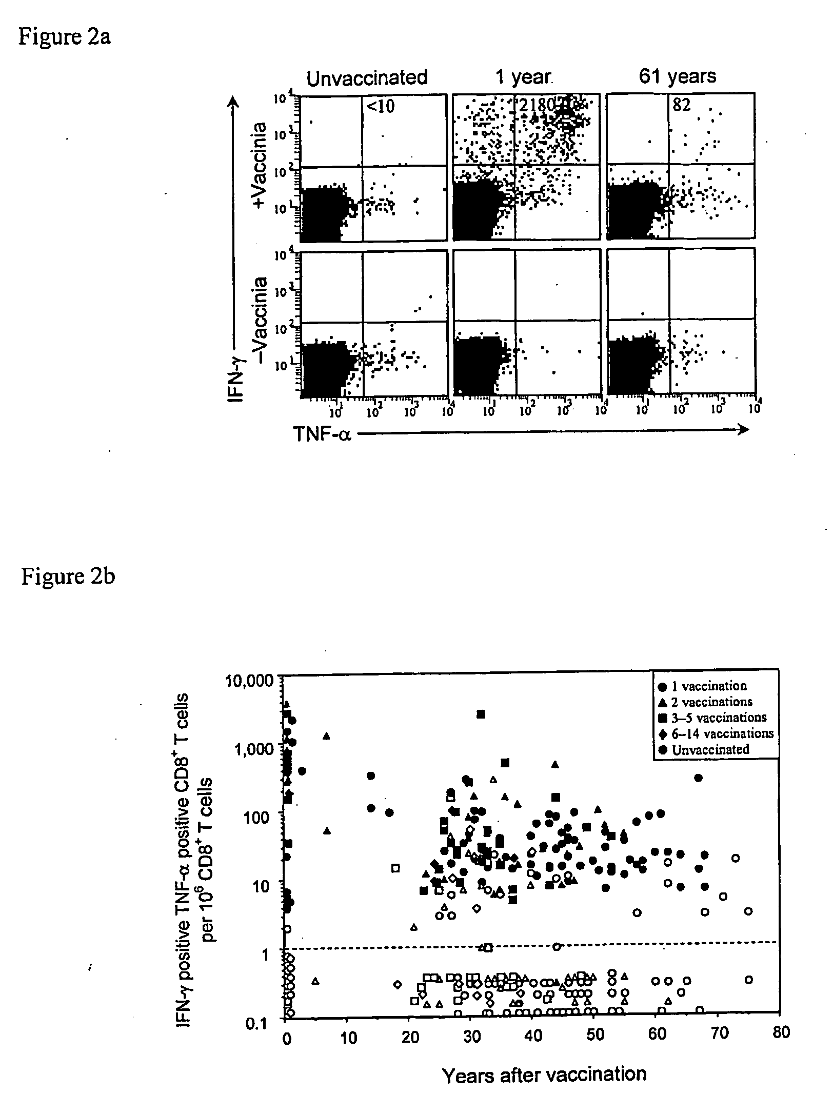 Compositions and methods for diagnosis and treatment of orthopoxviruses