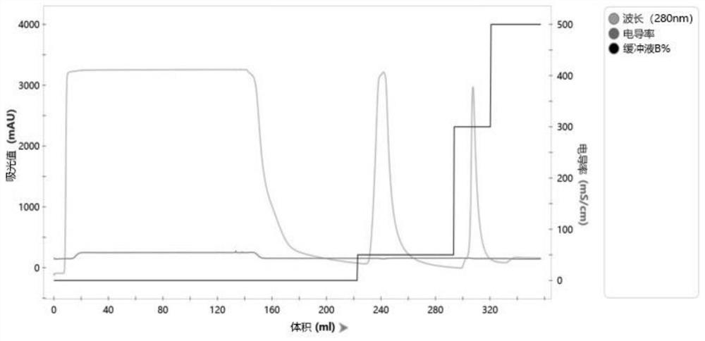 Group b Neisseria meningitidis recombinant pili protein fim and its preparation method and application