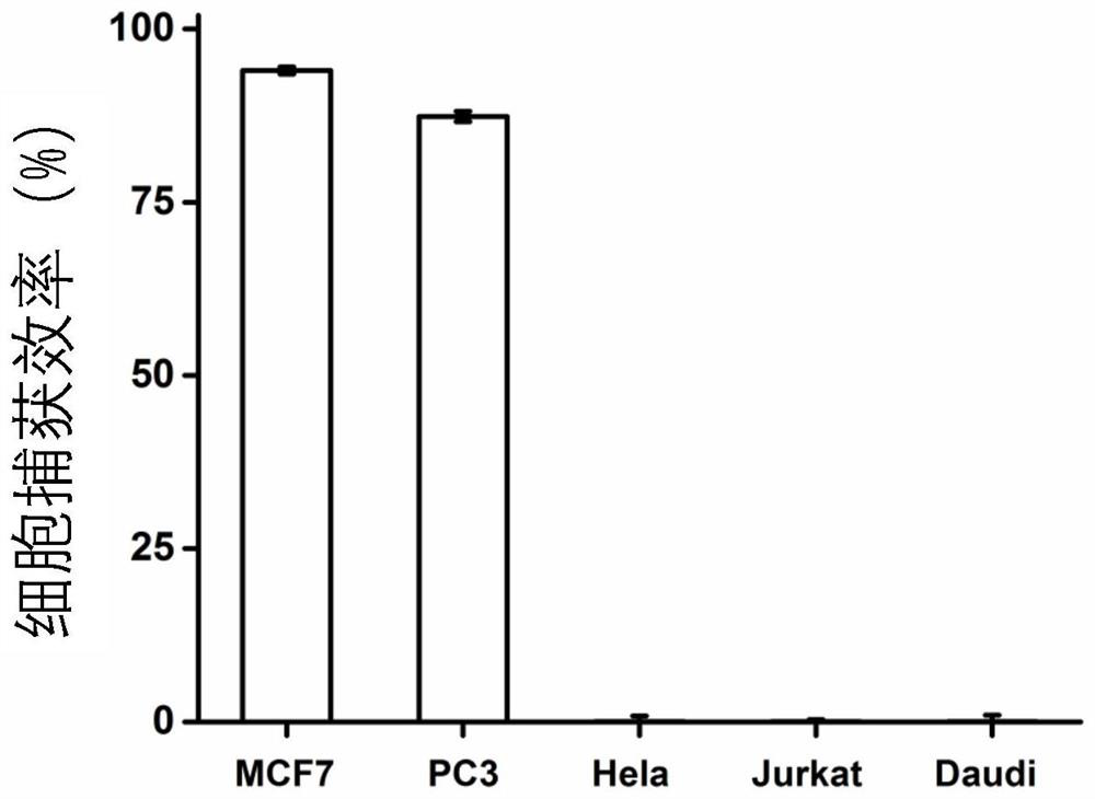 A graphene chip for specific capture of circulating tumor cells in whole blood and its preparation method and application