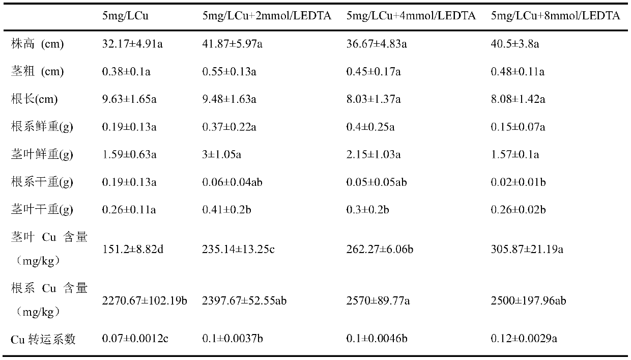 Method for repairing copper pollution by utilizing chelating agent EDTA reinforced reed