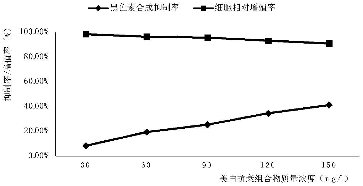 Traditional Chinese medicine composition with whitening and anti-aging effects and preparation method and application thereof