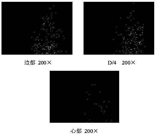 Forging method of Ti55 titanium alloy large-size bar