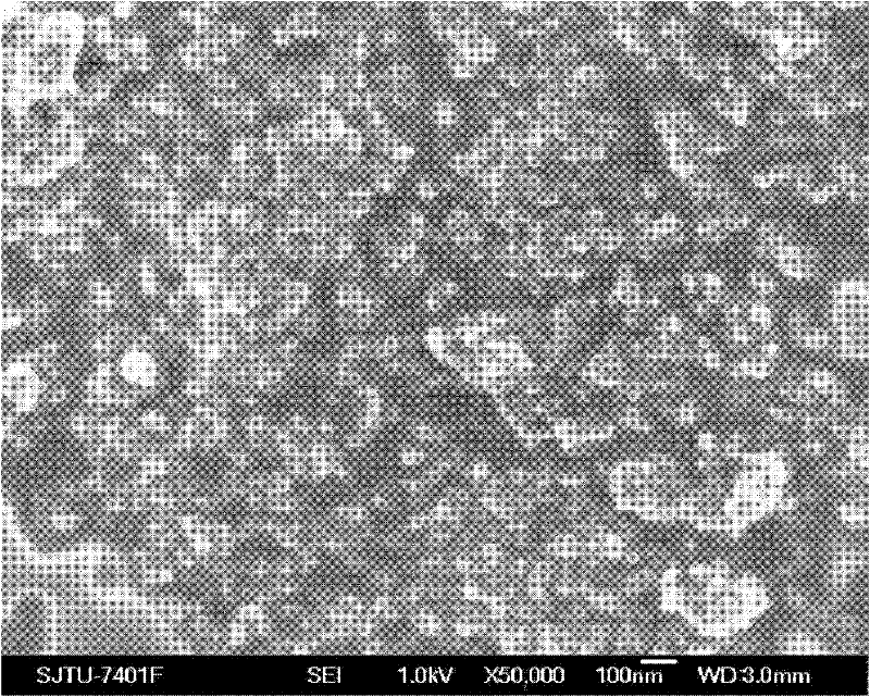 Cathodic catalyst for lithium air battery and preparation method thereof