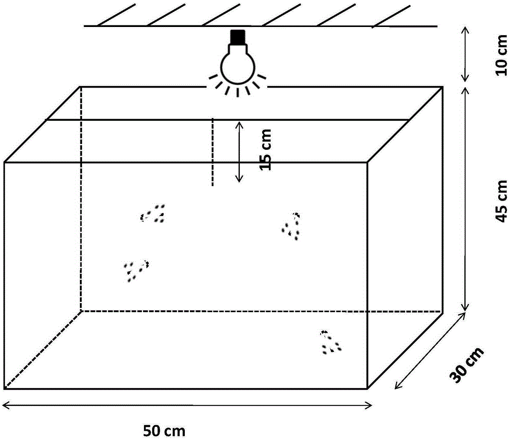 Red illumination method for prompting mating and oviposition of artificially bred dichocrocis punctiferalis