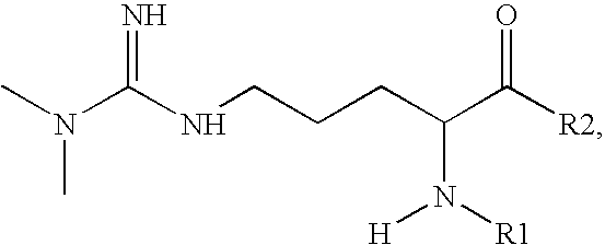 Arginine analogs, and methods for their synthesis and use