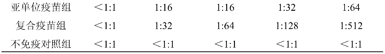 Duck circovirus compound vaccine and preparation method of egg yolk antibody