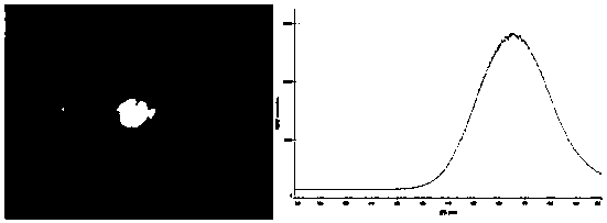 Epitaxy method for growing blue light emitting diode on m-plane gallium nitride substrate