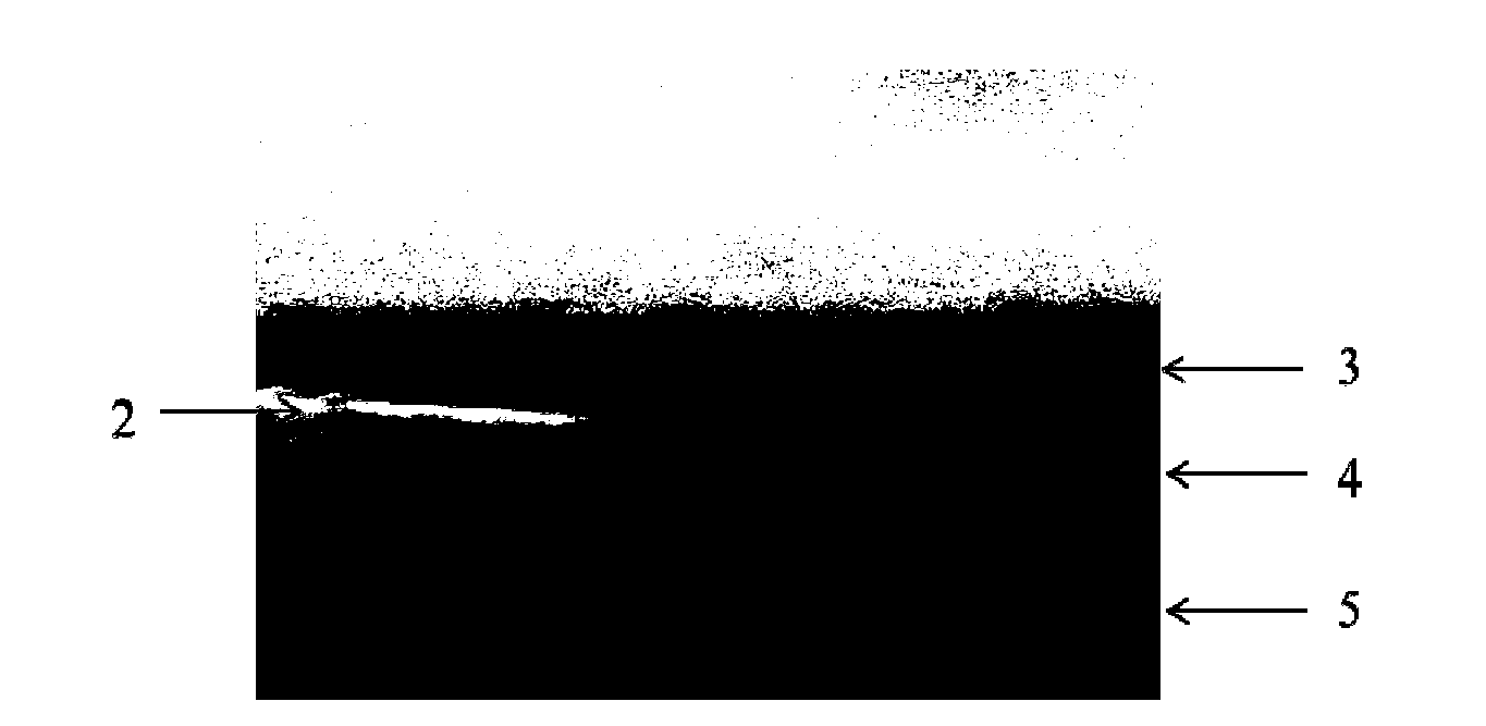 Thin film photoconductive detector and manufacturing method and application thereof