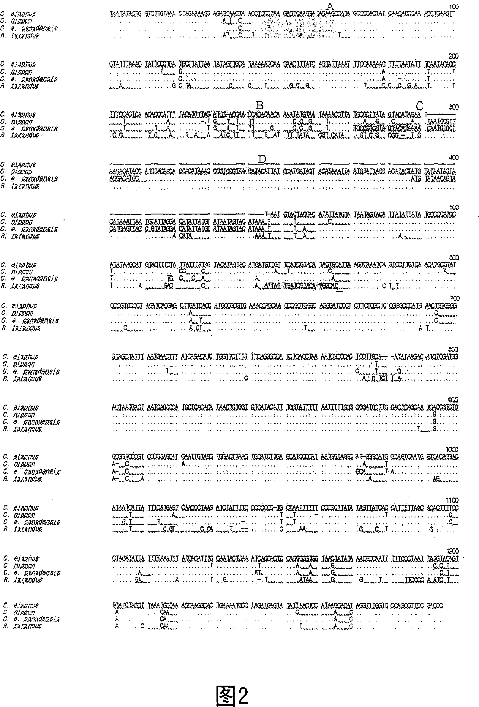 The primers specific to cervus elaphus, c. nippon, c. canadensis and rangifer tarandus gene and the method to identify cervi parvum cornu species