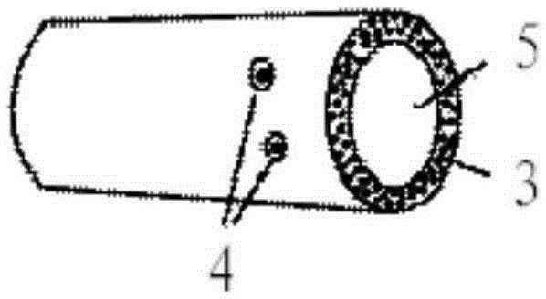 Human brain arteriovenous malformation biomechanics model and in vitro establishing method thereof