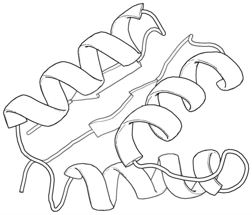 A two-stage protein conformational space optimization method based on dihedral angle entropy