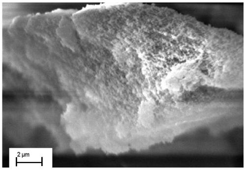 Porous organic polymer linked by thiourea structure as well as preparation method and application of porous organic polymer