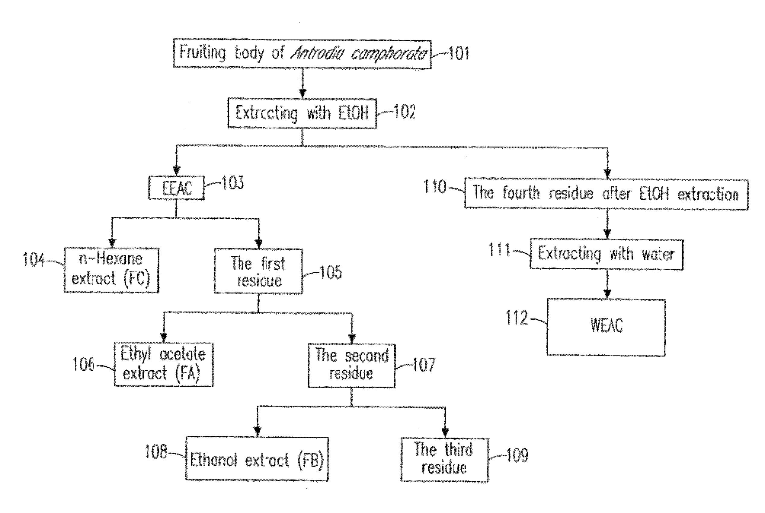 Ethanol extract of Antrodia camphorata for inducing apoptosis and preparation method thereof