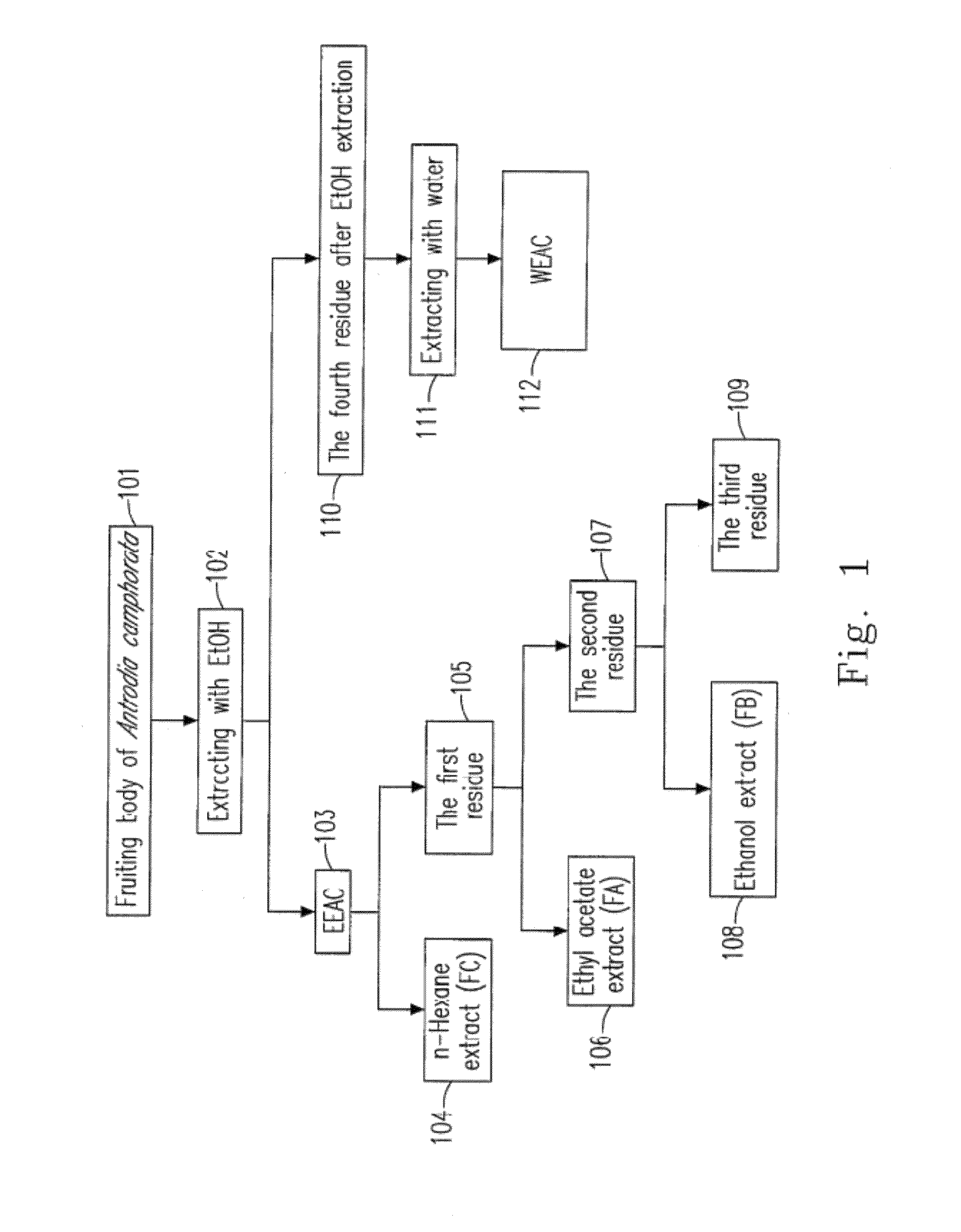 Ethanol extract of Antrodia camphorata for inducing apoptosis and preparation method thereof