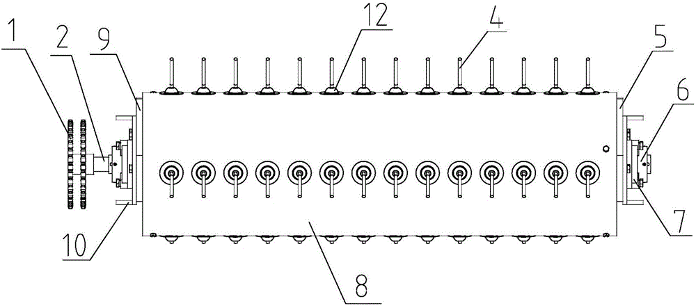 Peanut crushed soil seedling device