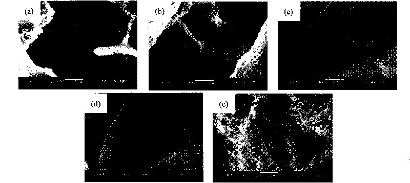 Method for preparing rhizoma drynariae/pig bone powder/chitosan compound bracket material