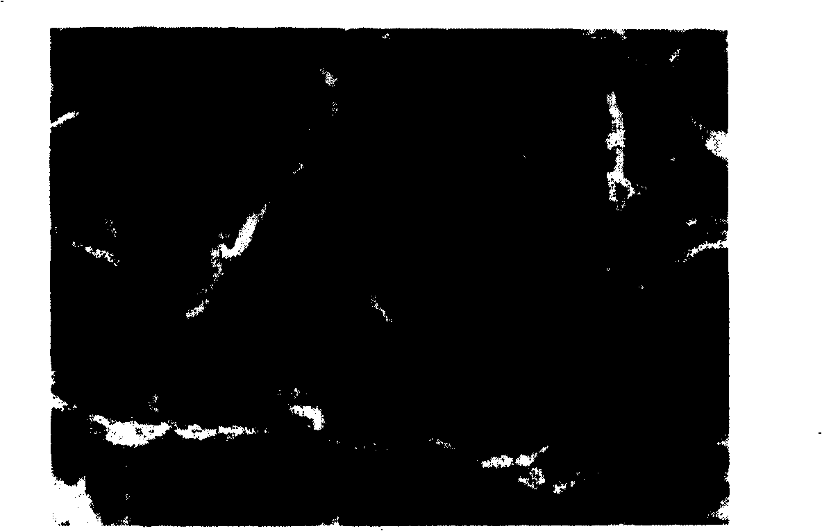 Method of preparing C-doped porous nanometer TiO2 photocatalyst with egg shell membrane as template