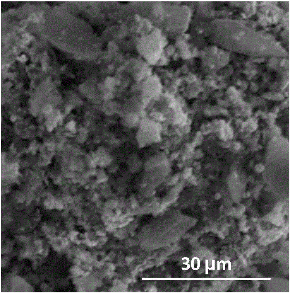 Method for preparing self-doped double-function oxygen reaction electrocatalyst