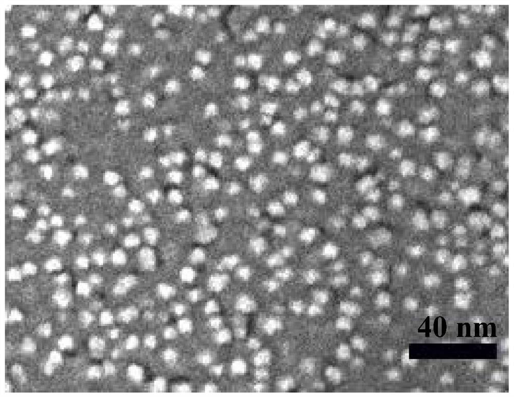 Transparent supercapacitor for processing MXene quantum dots based on femtosecond laser