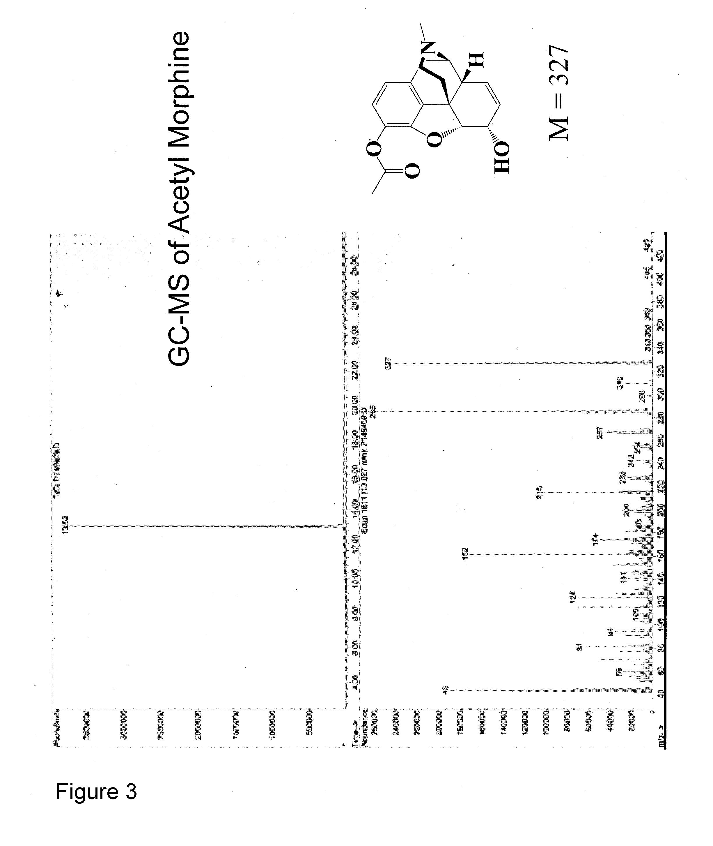 Opioid-Nornicotine Codrugs Combinations for Pain Management