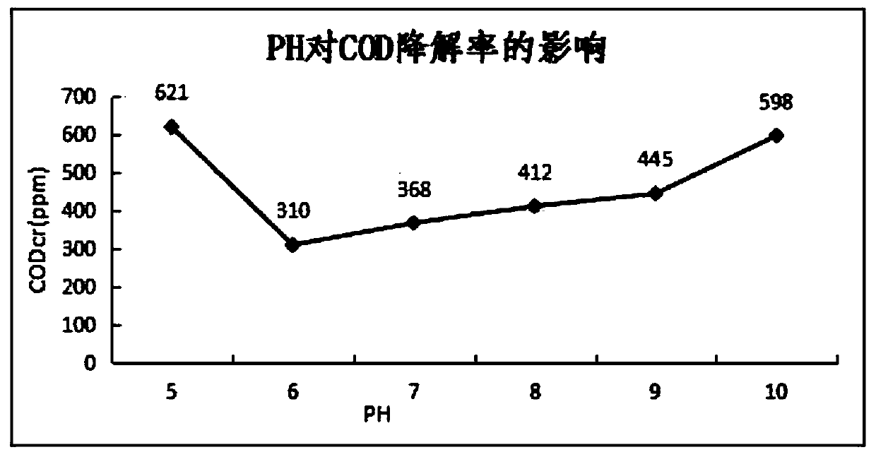 Method for degrading CODs (chemical oxygen demands) in high concentration organic amine industrial wastewater by using anaerobe