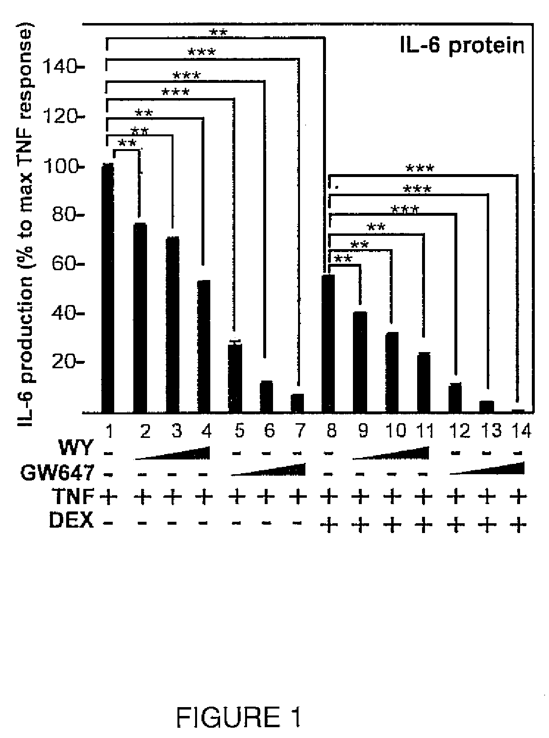 Composition and methods relating to glucocorticoid receptor-alpha and peroxisome proliferator-activated receptors