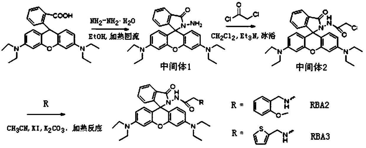 Fluorescence probe for detecting three-valent iron ions and preparation method of fluorescence probe